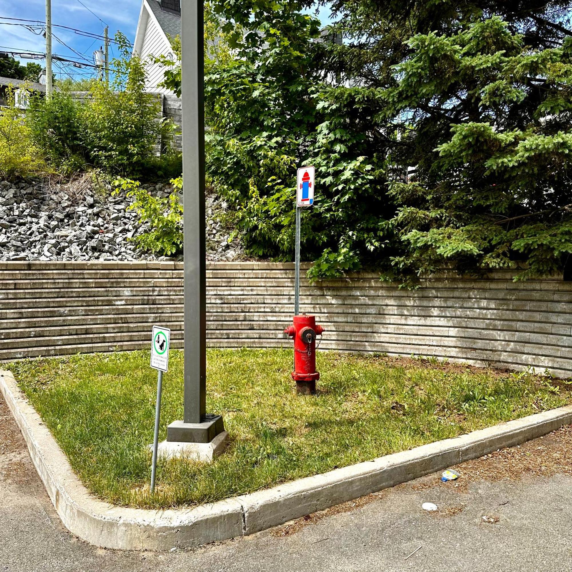 Initial - Citadin - Chutes-Montmorency Boischatel Exterior photo